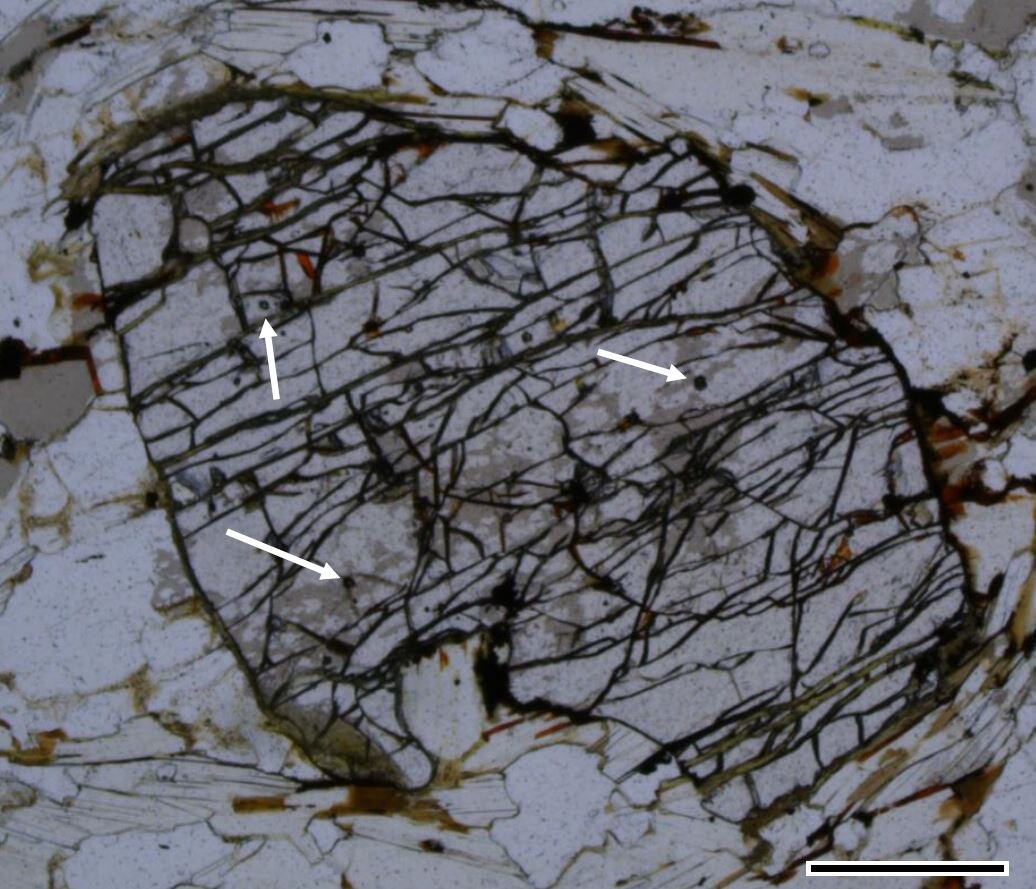 Dünnschliffbild eines Granatkristalls mit Einschlüssen von Mikrodiamant