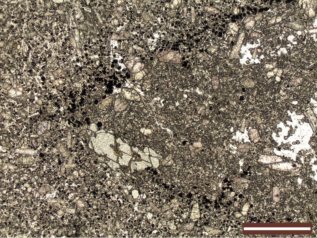 Nephelinitschliere (Zentrum und rechts) in Basanit (links, besonders oben und unten) im Dünnschliff bei Hellfeldmikroskopie aufgenommen. Der Kontakt zwischen beiden Gesteinen wird durch opake (schwarze) Minerale nachgezeichnet. 