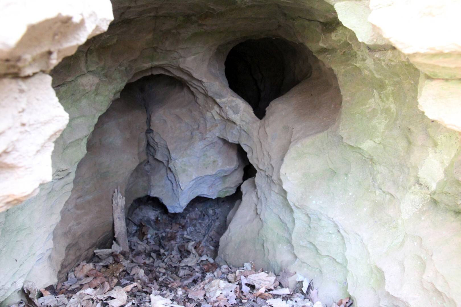 Das Bild zeigt den Eingang zu einer Karsthöhle.