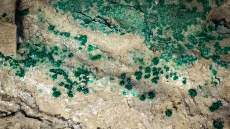 grüne Kristalle des MInerals Arnimit im Handstück