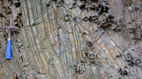 Hornstein-Tonschiefer-Wechsellagerung verfaltet im Elbtalschiefergebirge