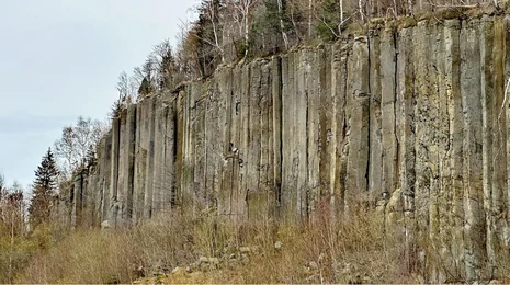 Basaltsäulen im Aufschluss Scheibenberg.