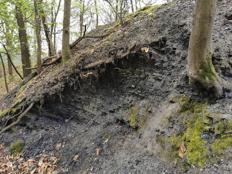 Aufschluss am Eichberg mit silurischem Kieselschiefer
