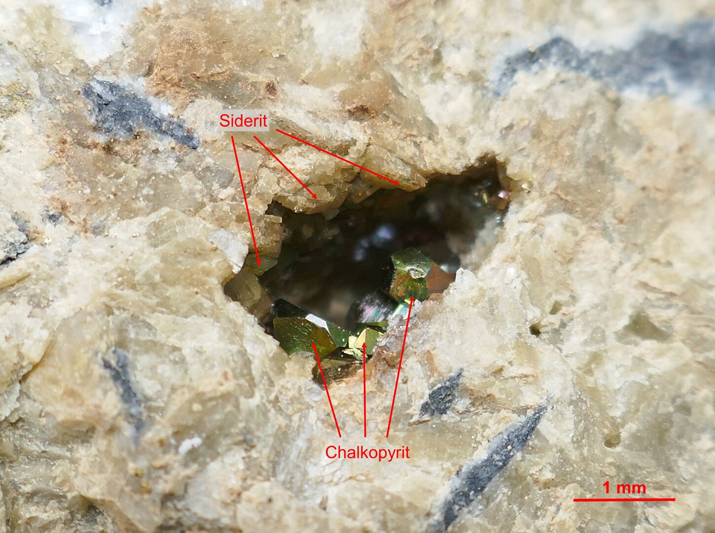 Kleine Druse mit Siderit- und Chalkopyrit-Mineralisation aus dem Erzgang "Brigitte Flacher" bei Bösenbrunn.
