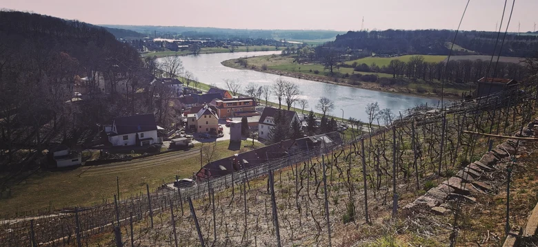 Elbe bei Diesbar-Seußlitz