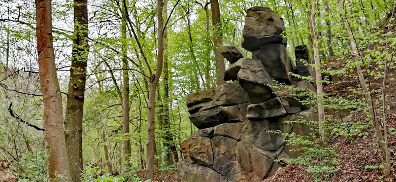 Felsen in der Georgewitzer Skala