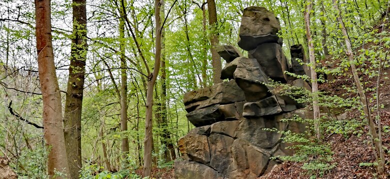 Felsen in der Georgewitzer Skala