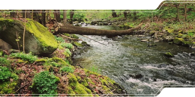 Löbauer Wasser in der Georgewitzer Skala