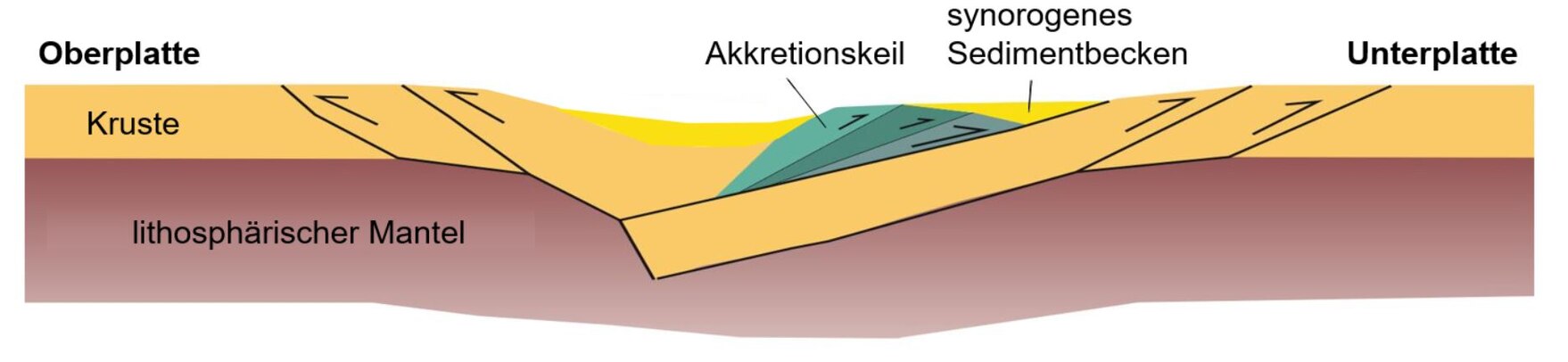 schematischer Profilschnitt durch einen Akkretionskeil