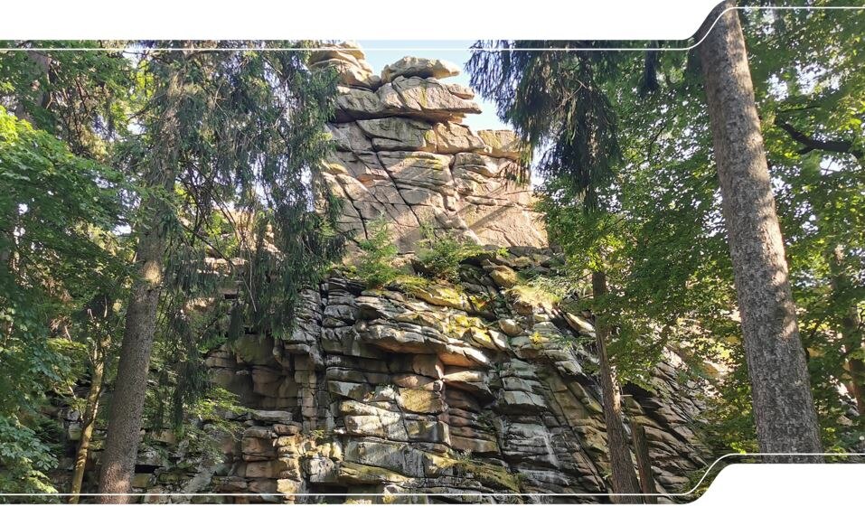 Felsen mit starker dreidimensionaler Klüftung in Fichtenwald