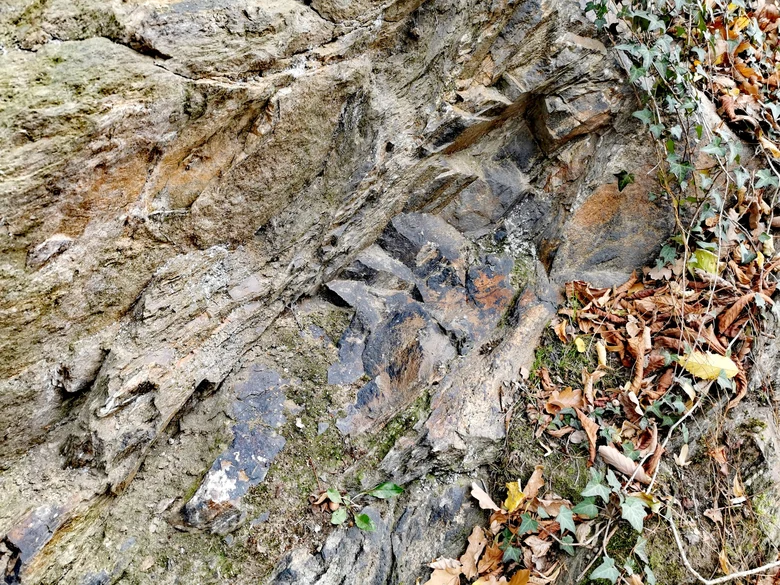 Orthogneis von Wolkenburg