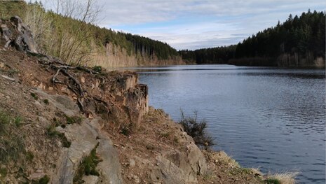 Saidenbachtalsperre mit Felsen aus Granat-Glimmer-Gneis