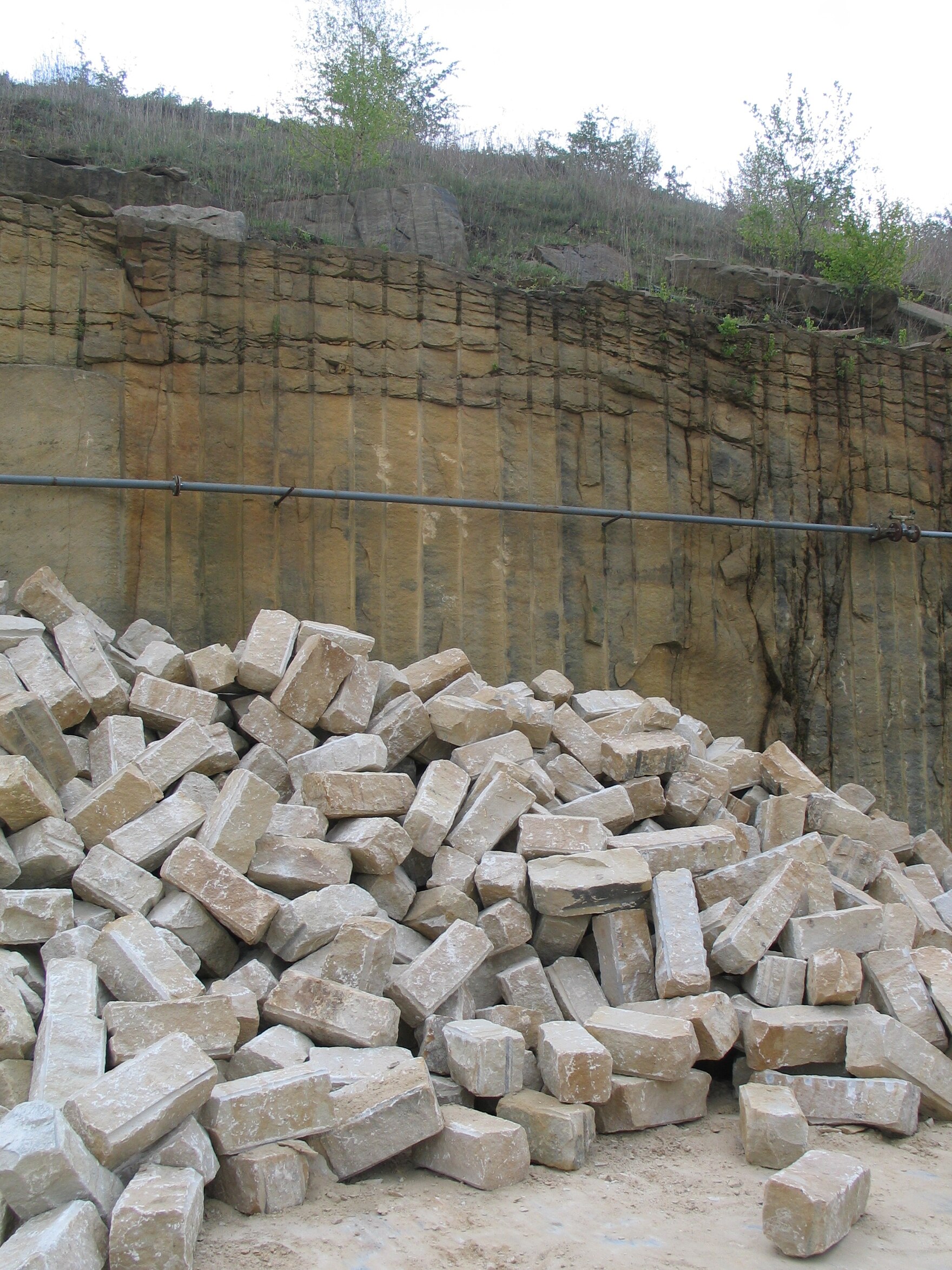 Steinbruchwand im Sandsteinbruch Lohmen-Mühlleite in der Sächsischen Schweiz