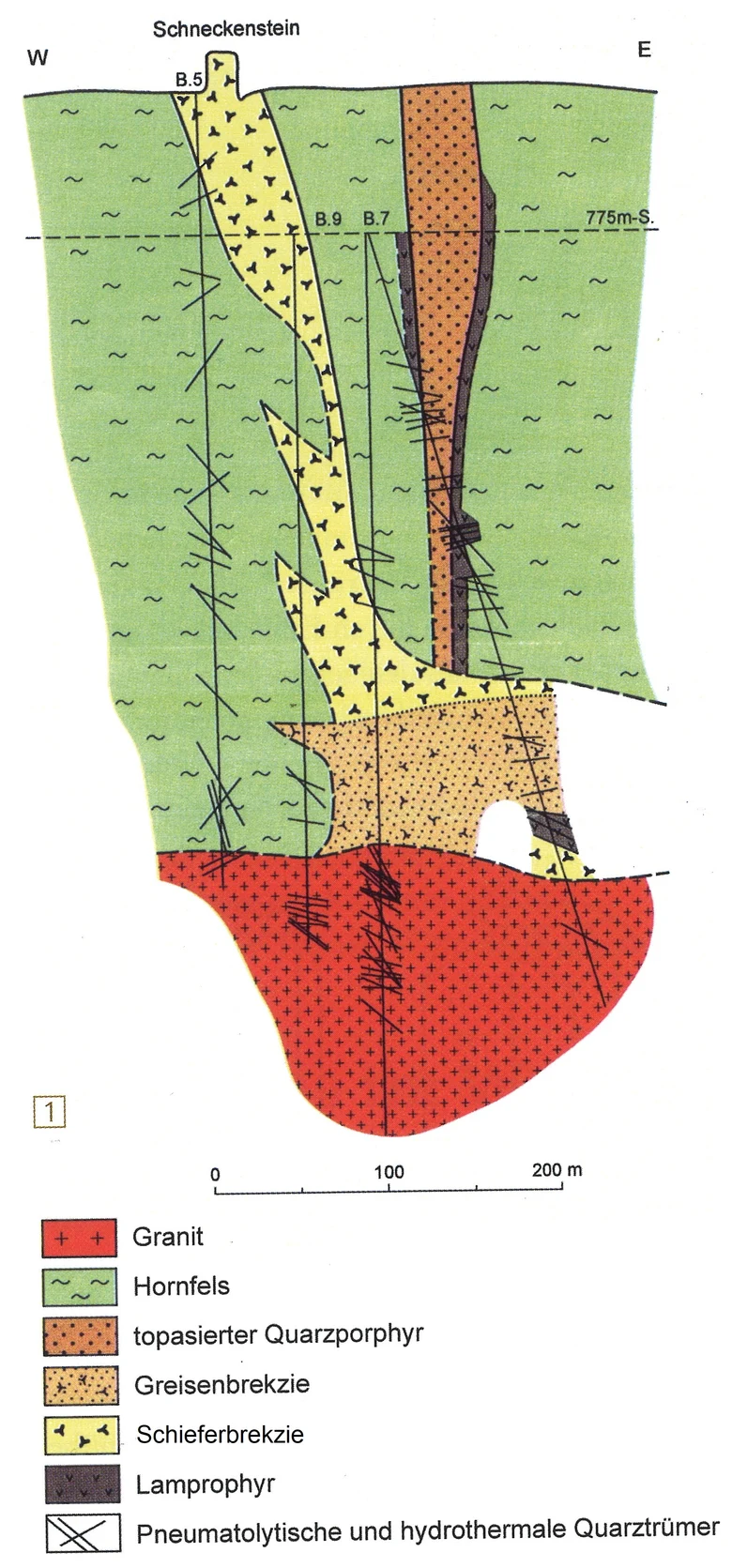 Schematisches Profil des Schneckensteins