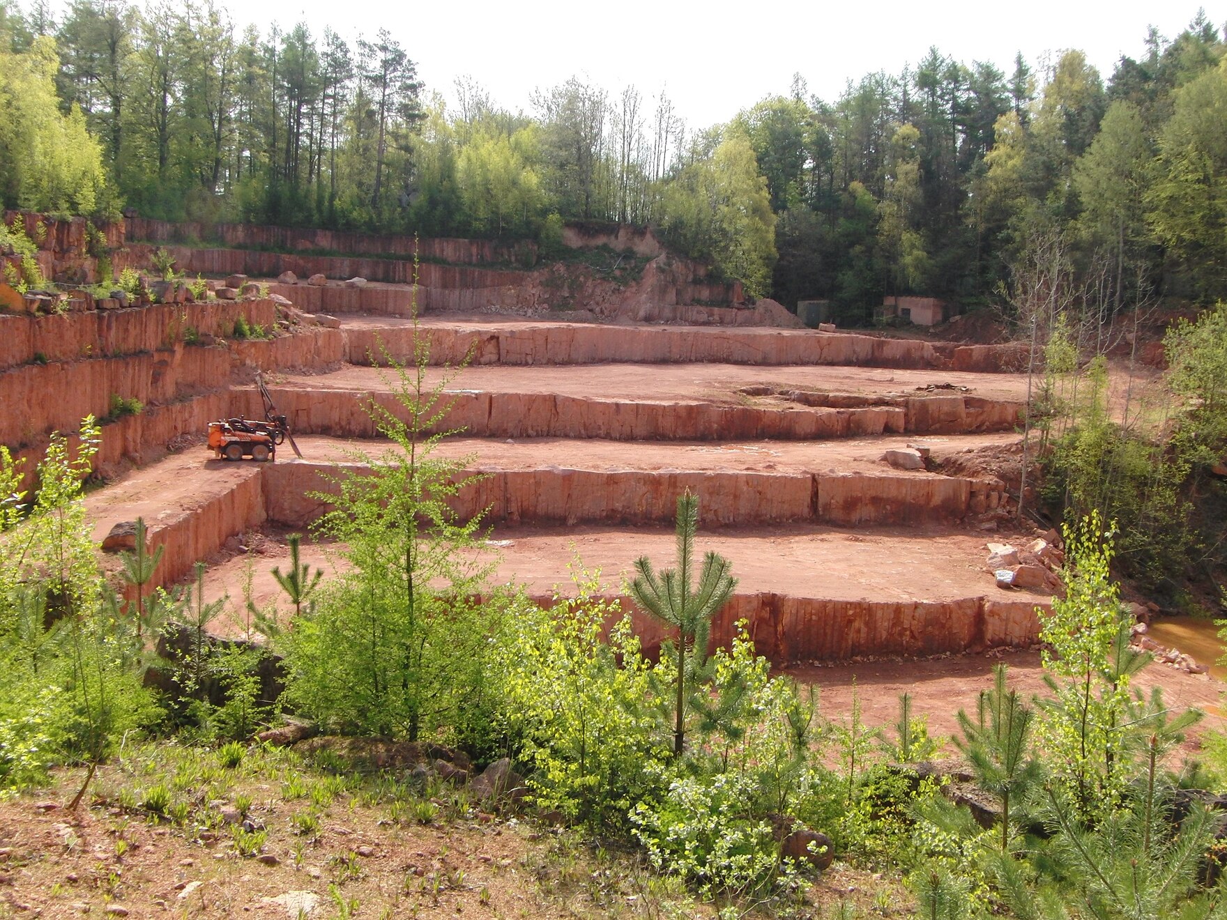 Werksteingewinnung im Schillingbruch am Rochlitzer Berg. Der Quarzporphyrtuff kam im Perm als Glutwolke zum Absatz. Seine Maserung macht den »Rochlitzer Porphyr« unverkennbar. Die Rohblockabtrennung erfolgt schonend entlang paralleler Bohrlochreihen