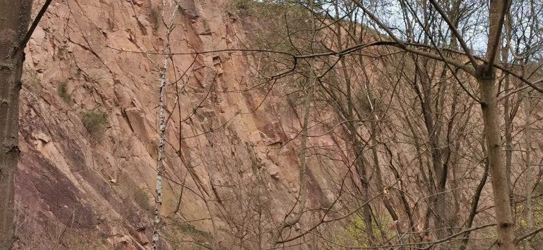 Rhyolith im Steinbruch Leutewitz im Käbschütztal