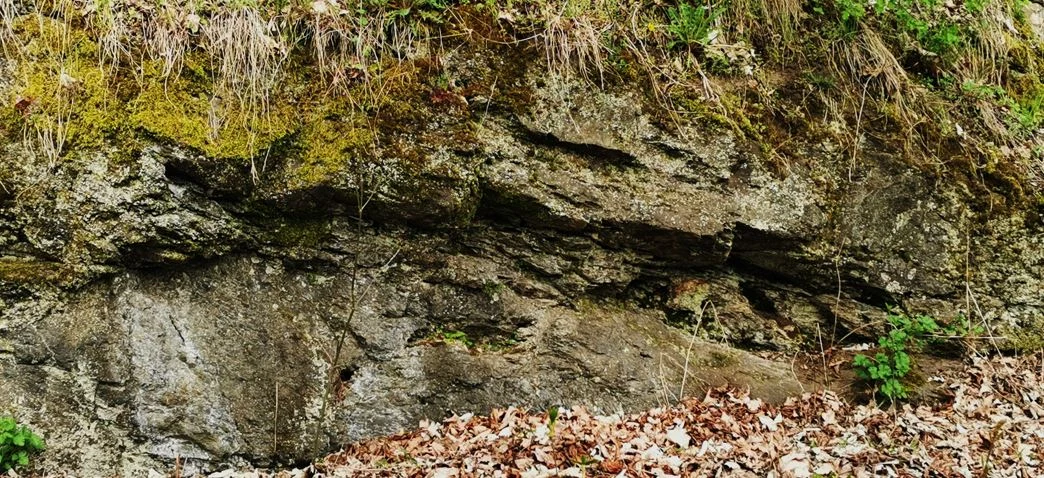 Kalkstein mit Störung