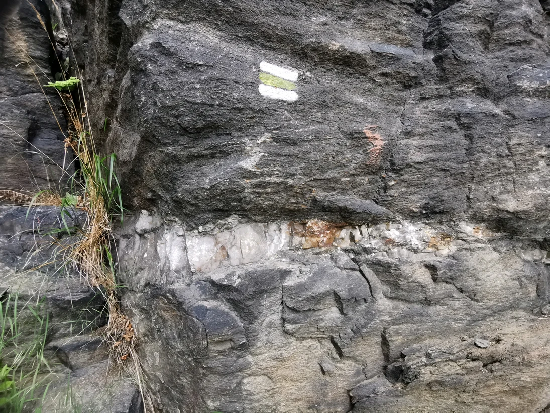 Gneis mit Quarzgang