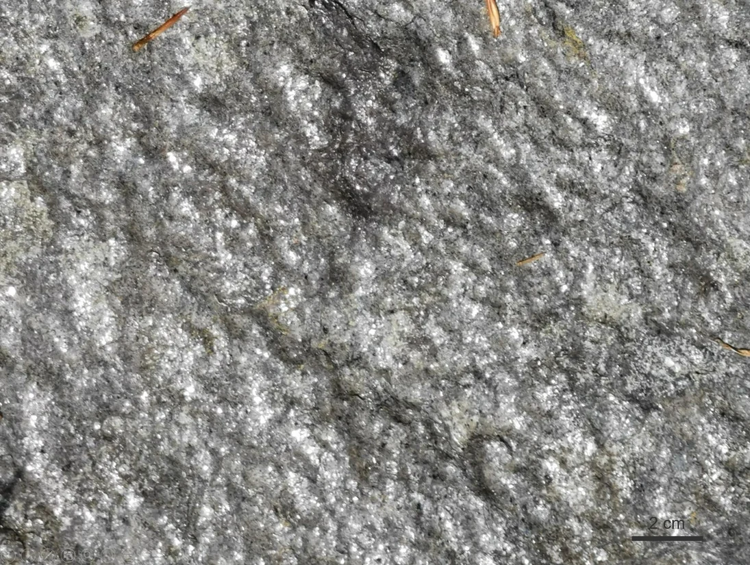 Zweiglimmergneis: Blick auf eine Foliationsfläche mit Hellglimmerkristallen.