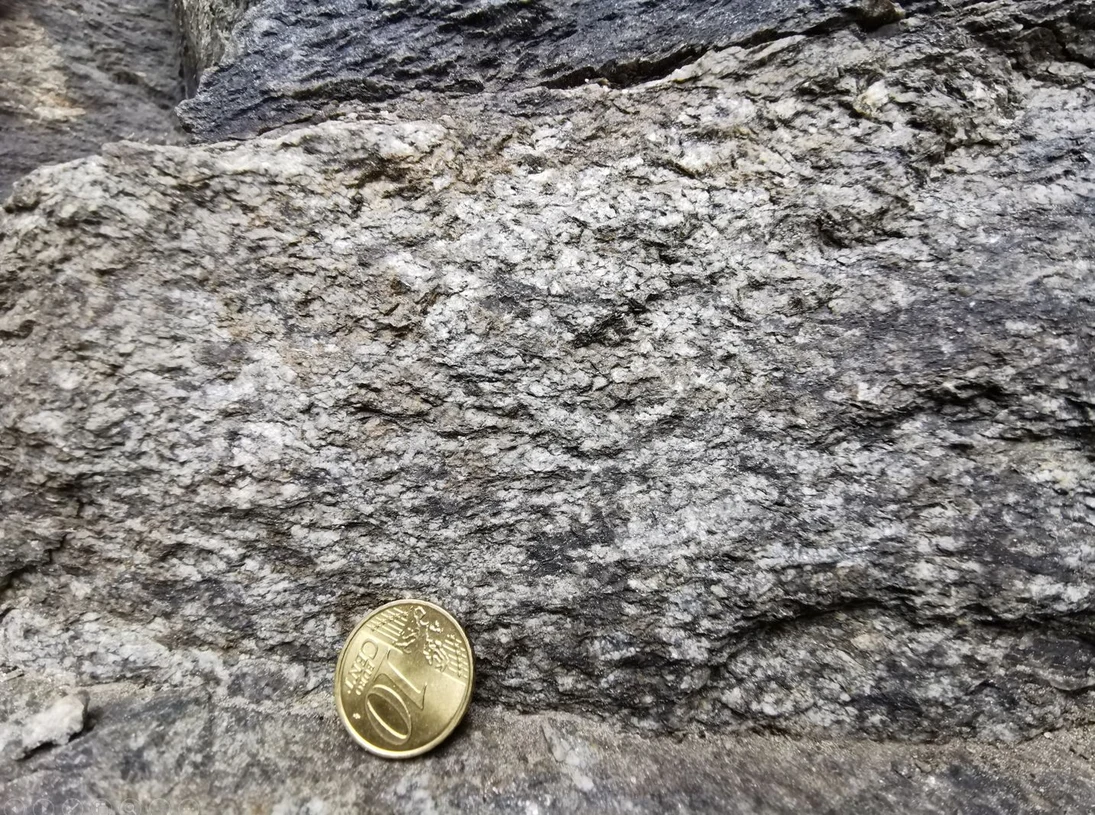 Zweiglimmergneis: Blick senkrecht zur Foliation. In dieser Blickrichtung sind besonders die hellen Feldspatkristalle gut zu erkennen.