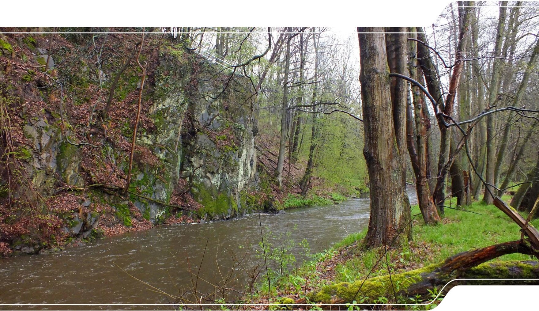 Felsen aus Grauwacke der Leipzig-Lausitz-Gruppe in der Gröditzer Skala am Löbauer Wasser.