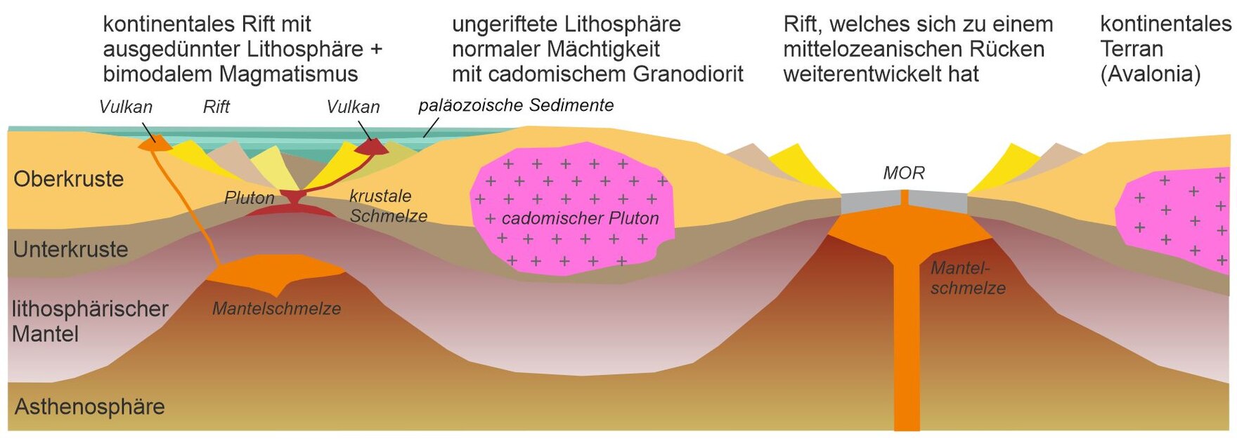 Profilschnitt der tektonischen Situation im Altpaläozoikum