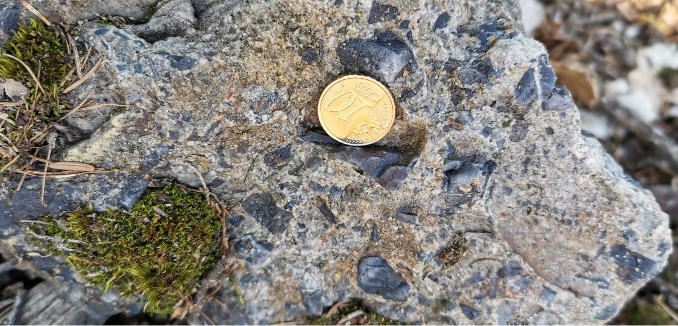 synorogenes Sediment (Konglomerat) mit Geröllen aus silurischem Schiefer