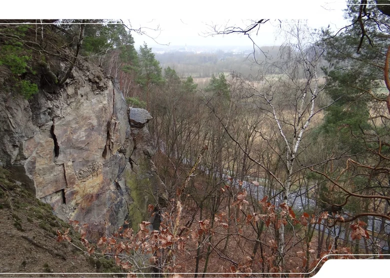 Gneisfelsen des Frankenberger Zwischengebirges bei Sachsenburg.