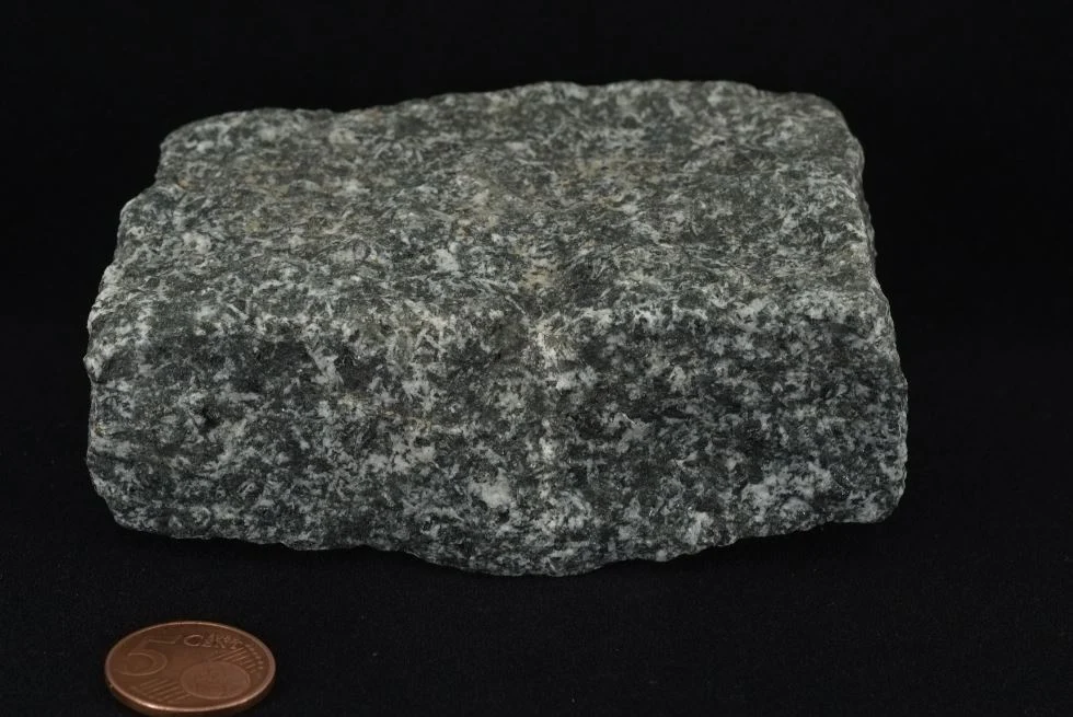 Lamprophyr aus Sora (Lausitz): Das Ganggestein besteht überwiegend aus Plagioklas (hell) und Pyroxen (dunkel).