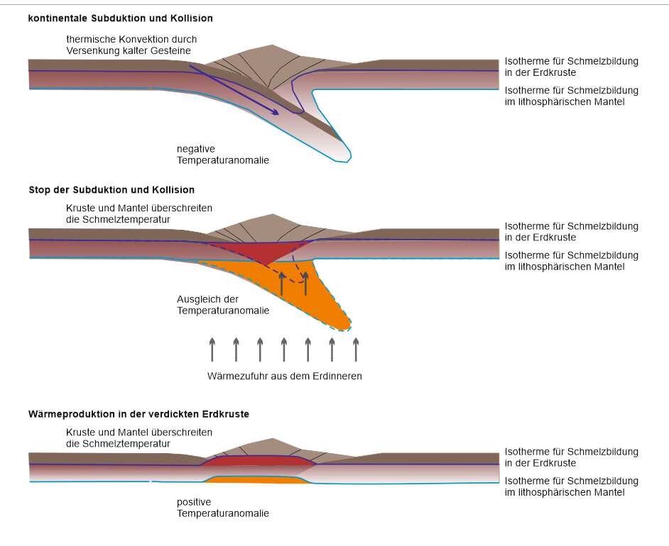 Durch Subduktion bildet die Lithosphäre einen Keil, in dem niedrige geothermische Gradienten herrschen und deshalb Gesteine tief versenkt werden können, ohne aufzuschmelzen. Stoppt die Subduktion, heizt sich der Keil auf. 