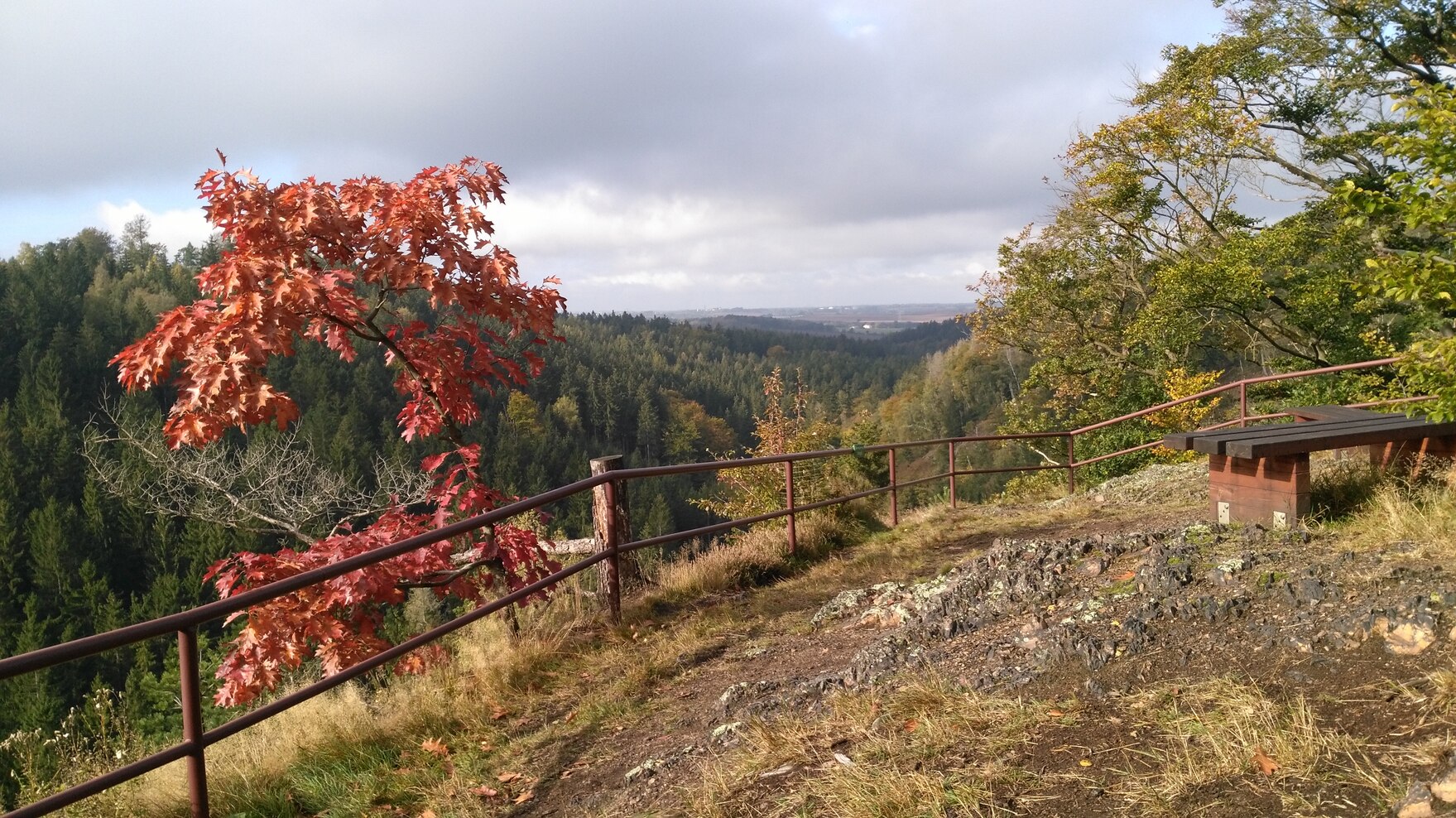 Blick vom Aussichtspunkt über den Tharandter Wald