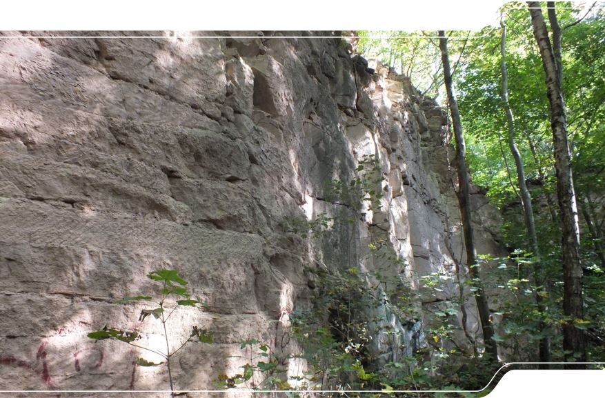 Steinbruchwand im Zeisigwald.