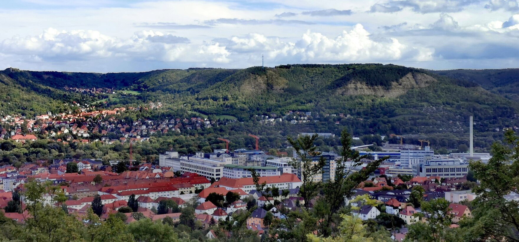 Aus Muschelkalk aufgebaute felsige, steile Talhänge in Jena.