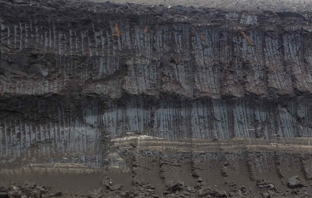 Am Rand der Paläo-Nordsee entstanden während des Tertiärs ausgedehnte Küstenmoore, in denen sich unsere heutigen Braunkohlen bildeten. Diese enthalten zahlreiche Stücke fossiler Hölzer – sogenannte Xylite – welche Größen von mehreren Metern erreichen könn