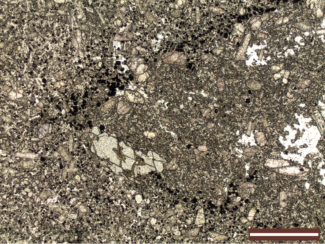Nephelinitschliere (Zentrum und rechts) in Basanit (links, besonders oben und unten) im Dünnschliff bei Hellfeldmikroskopie aufgenommen. Der Kontakt zwischen beiden Gesteinen wird durch opake (schwarze) Minerale nachgezeichnet.