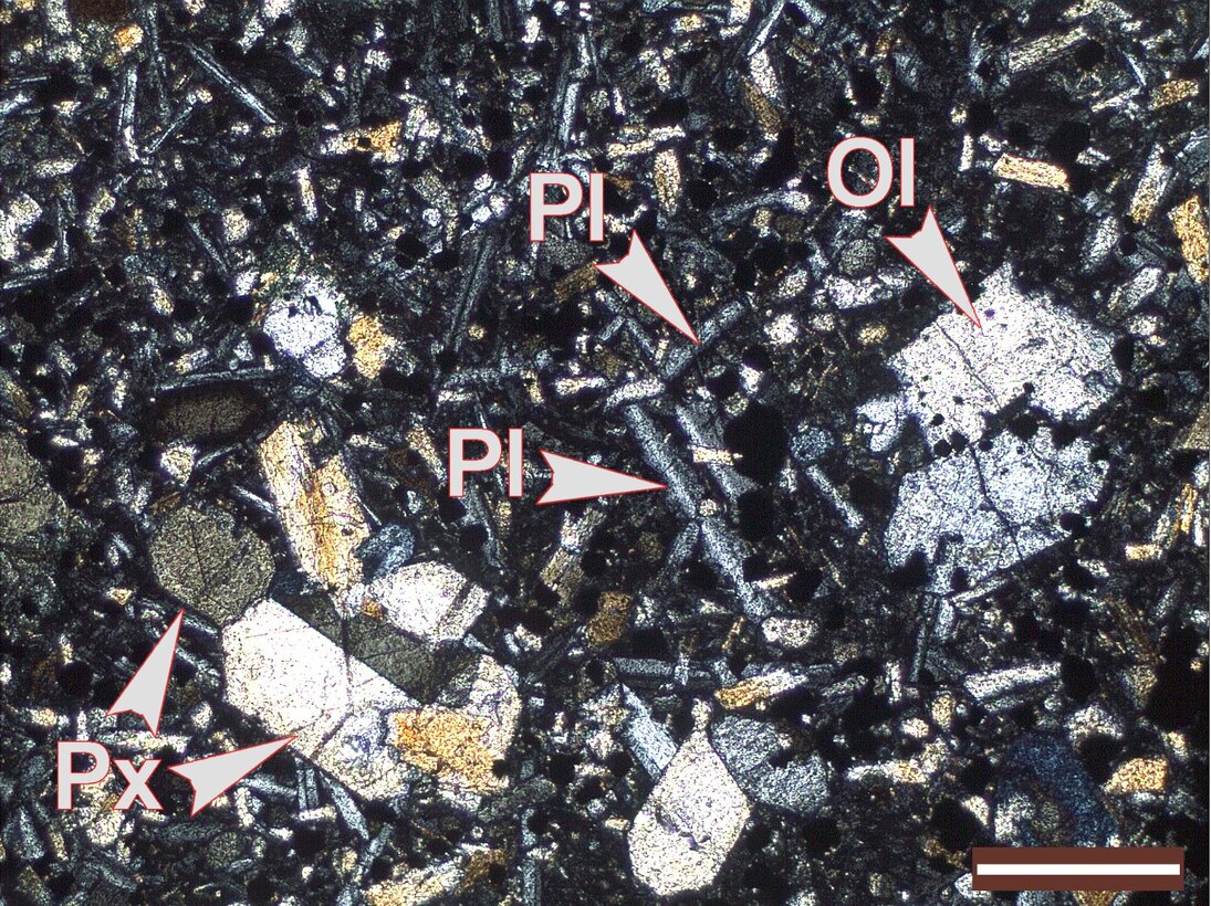 Basanit im Dünnschliff in einer Dunkelfeldaufnahme: Plagioklas tritt in Leisten auf (PL), Olivin in breiten Kristallen. 