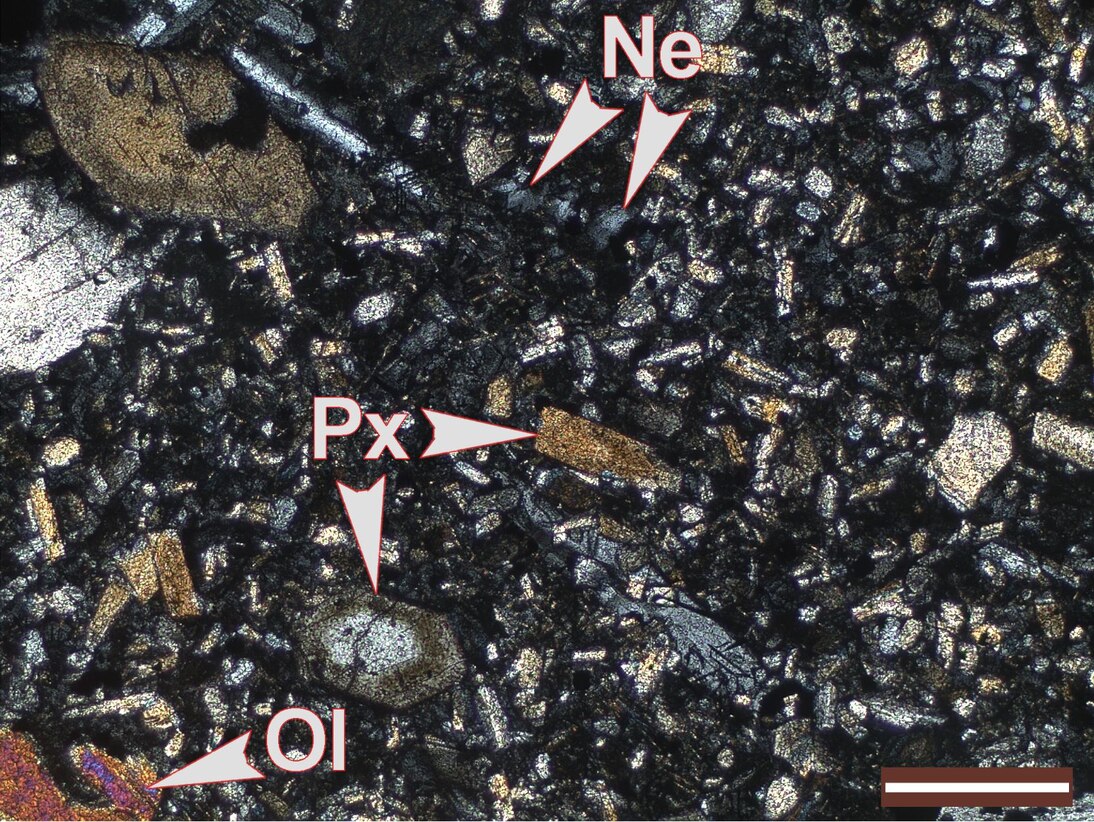 Nephelinit im Dünnschliff in einer Dunkelfeldaufnahme: Das Mineral Nephelin (NE) vertritt hier den Feldspat Plagioklas, Pyroxen kommt in prismatischen Kristallen vor.
