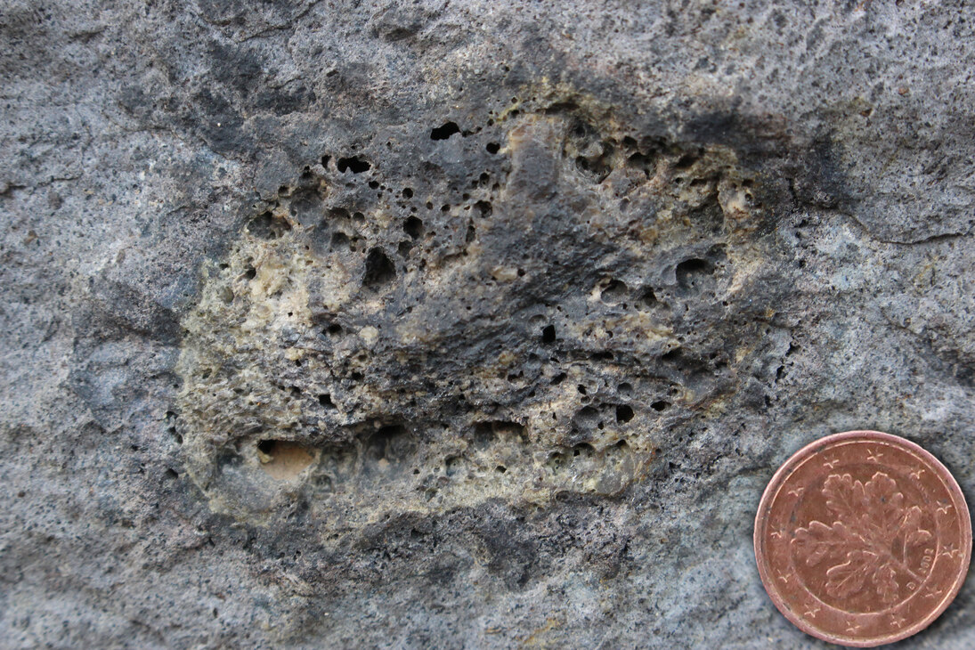 Einschlüsse von Basaltschlacken im Basalt von Stolpen. 