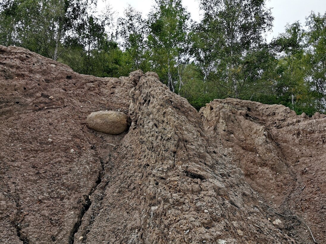 Auf Bergbauhalden wird vom Menschen das Umgebungsgestein des abgebauten Rohstoffes aufgeschüttet. Dabei werden verschiedene Gesteine aus ihrem natürlichen Verband gerissen und vermischt. In dieser anthropogenen Aufschüttung sind z.B. tertiäre Kohle (Bildm