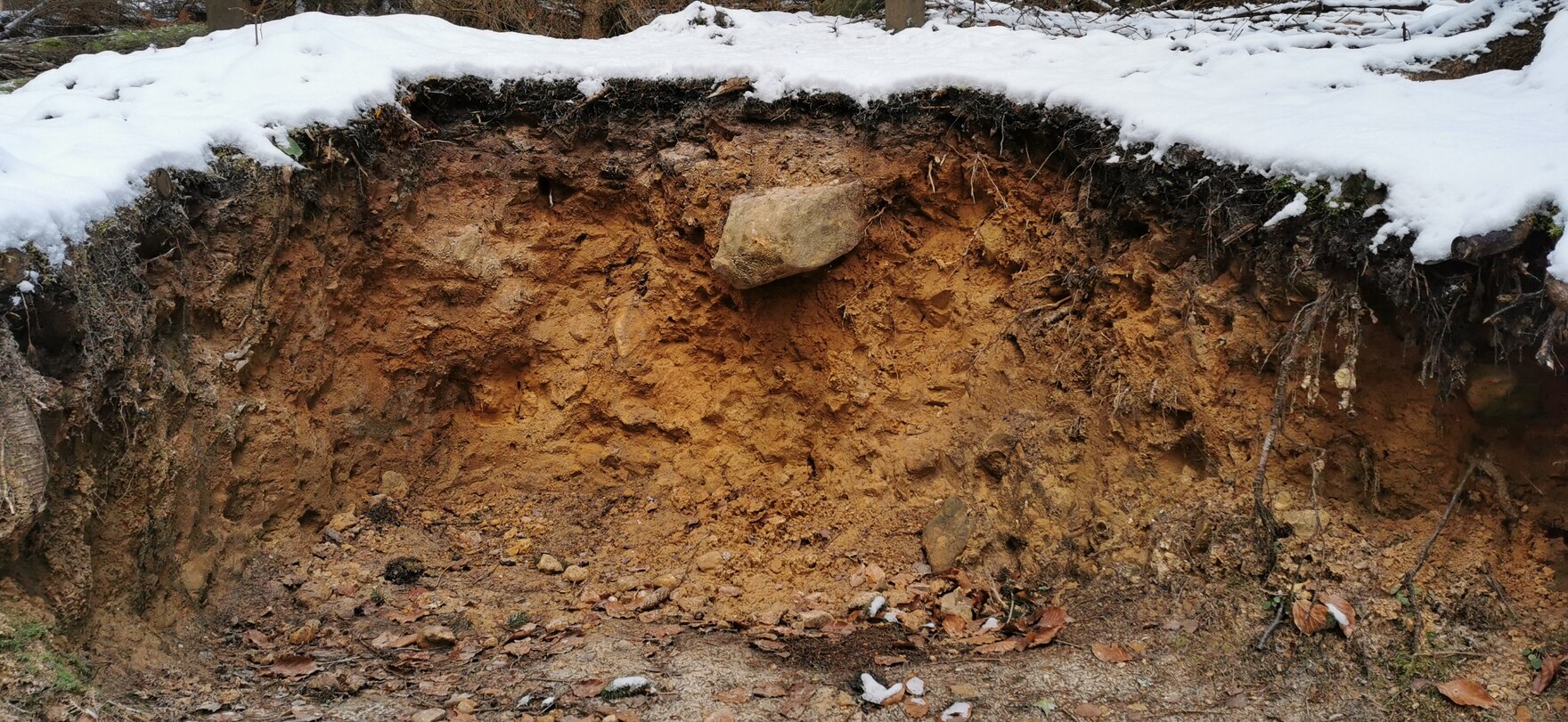 Das Quartär Geologie sachsen.de