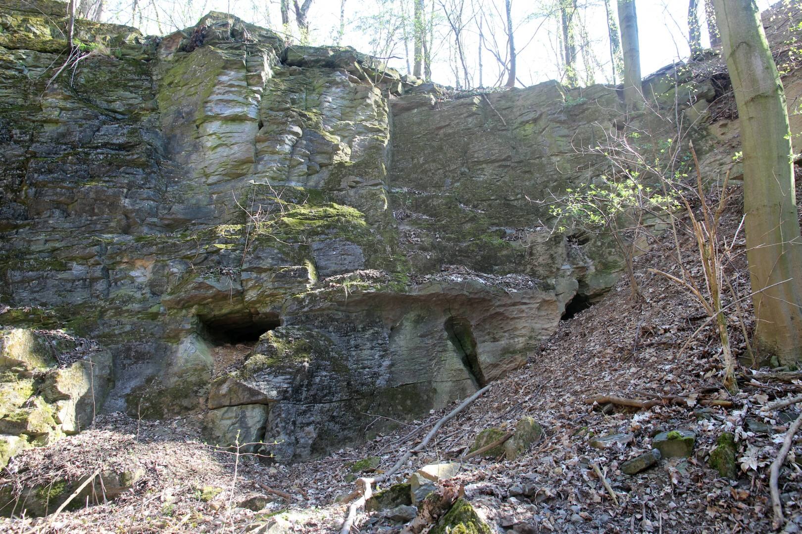 Das Bild zeigt Verkarstung an einer Felswand.