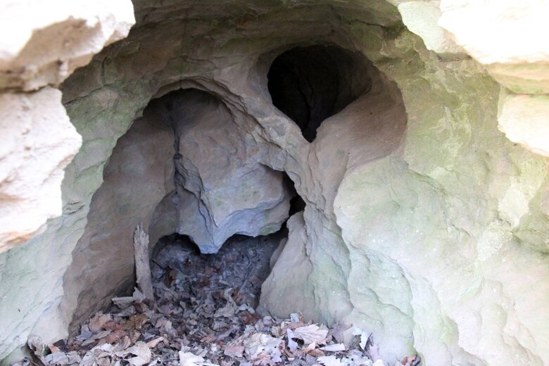 Das Bild zeigt den Eingang zu einer Karsthöhle.