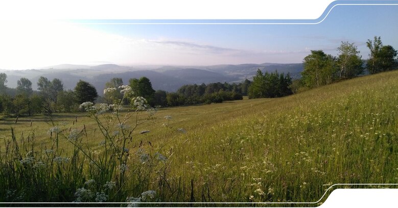Das Bild zeigt einen Blick über das Osterzgebirge bei Geising.