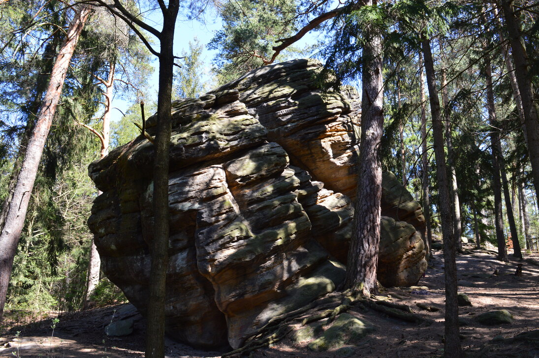 Einsiedlerstein in der Dippoldiswalder Heide.