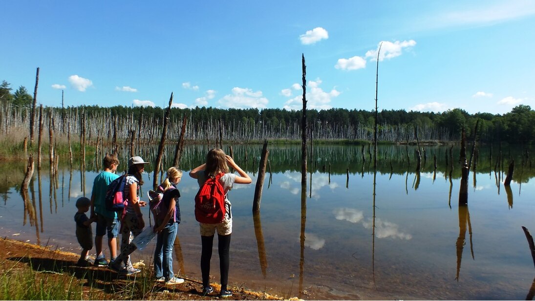 Geopark Muskauer Faltenbogen.