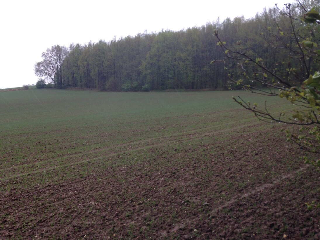 Das Maar von Börnersdorf liegt verborgen unter einer dünnen Bedeckung von känozoischen Sedimenten.