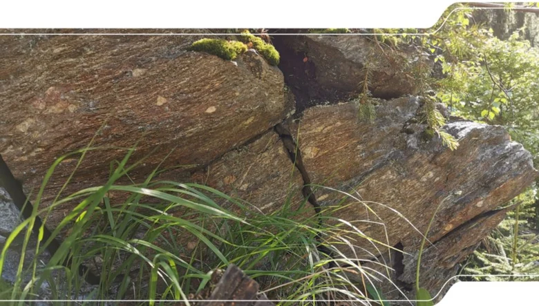 Augengneis in einem Felsen an der Lochmühle im Natschungtal.