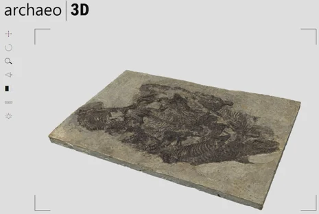 gescannte Freitaler Saurierplatte mit Pantelosaurus saxonicus gescannte Freitaler Saurierplatte mit Pantelosaurus saxonicus