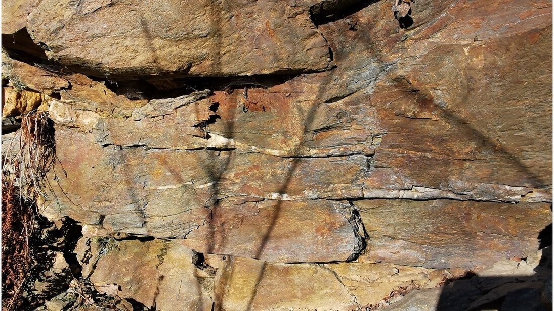 Die Hauptquarzit-Formation in Mühlwand bei Reichenbach. Diese Formation besteht nördlich von Plauen aus einer Wechsellagerung von bankigen Sandsteinen (unten) und plattigen Tonschiefern (Bildmitte).
