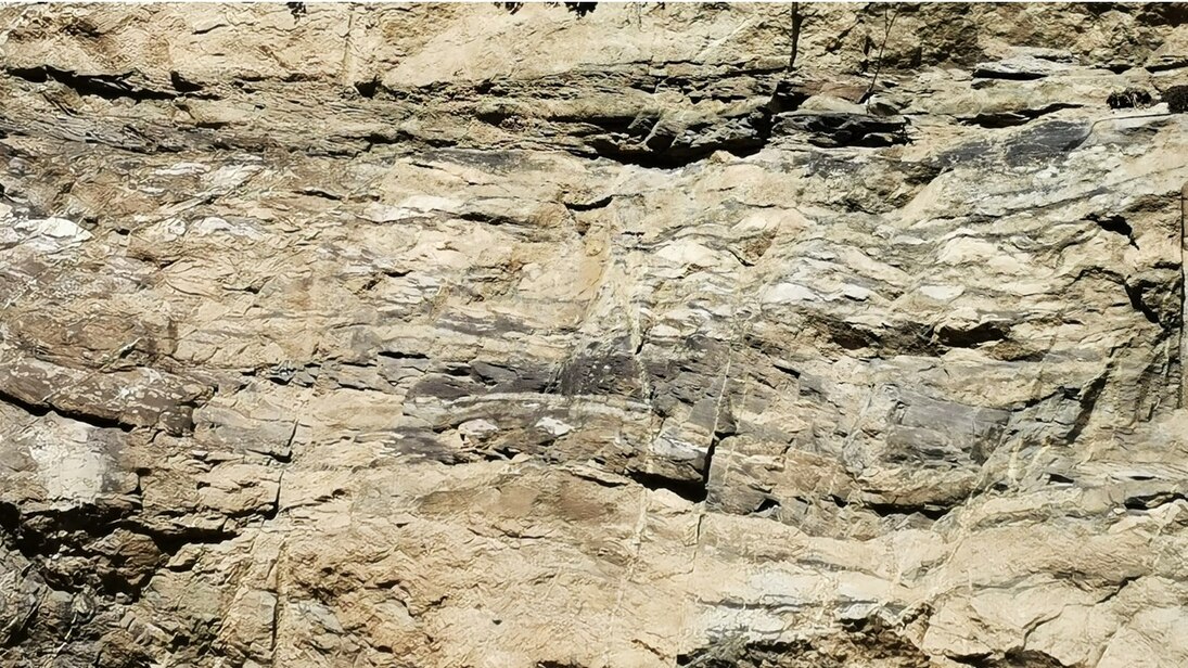 Devonischer Flaserkalk im Aufschluss am Elsterwehr in Plauen. Charakteristisch sind die hell- und dunkelgrauen Kalklinsen.
